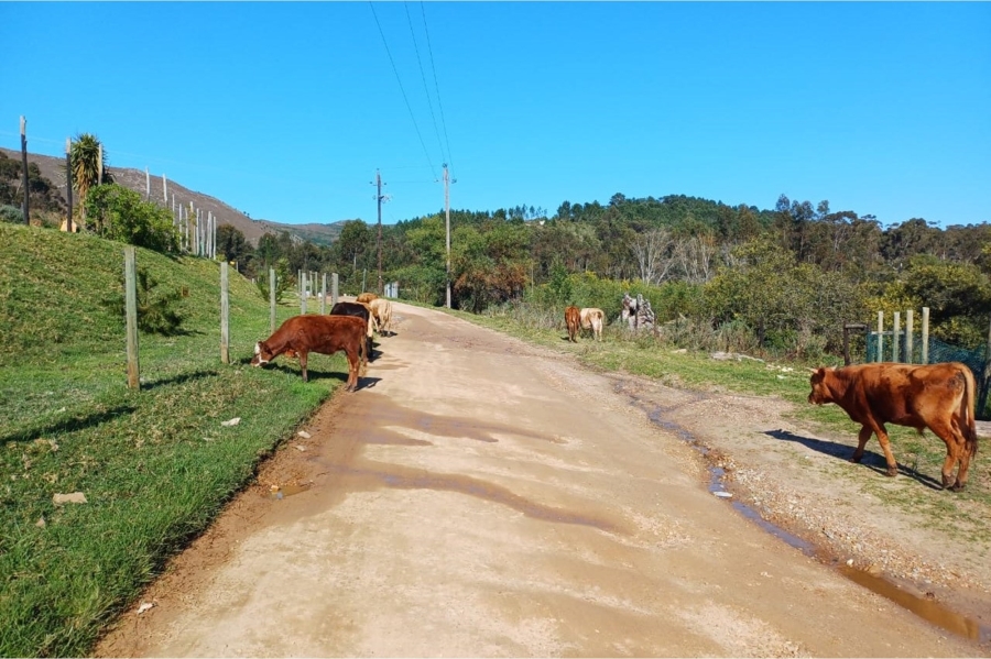 0 Bedroom Property for Sale in Tesselaarsdal Western Cape